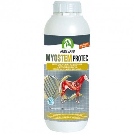 Product image for 10051