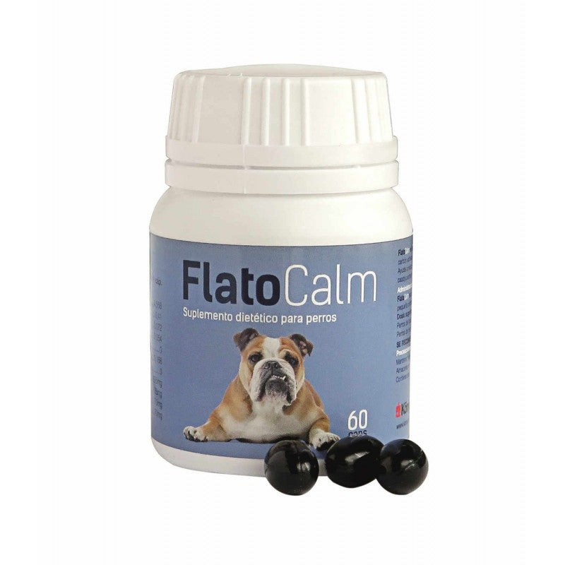 Product image for 10817