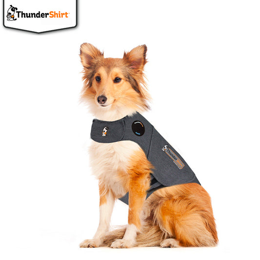 Product image for 16892