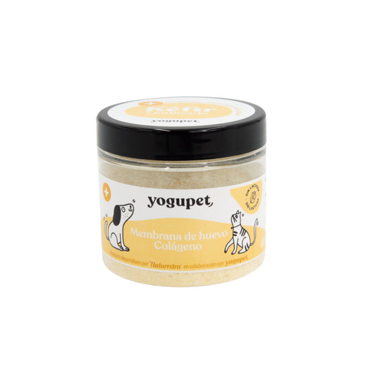 Product image for 10790