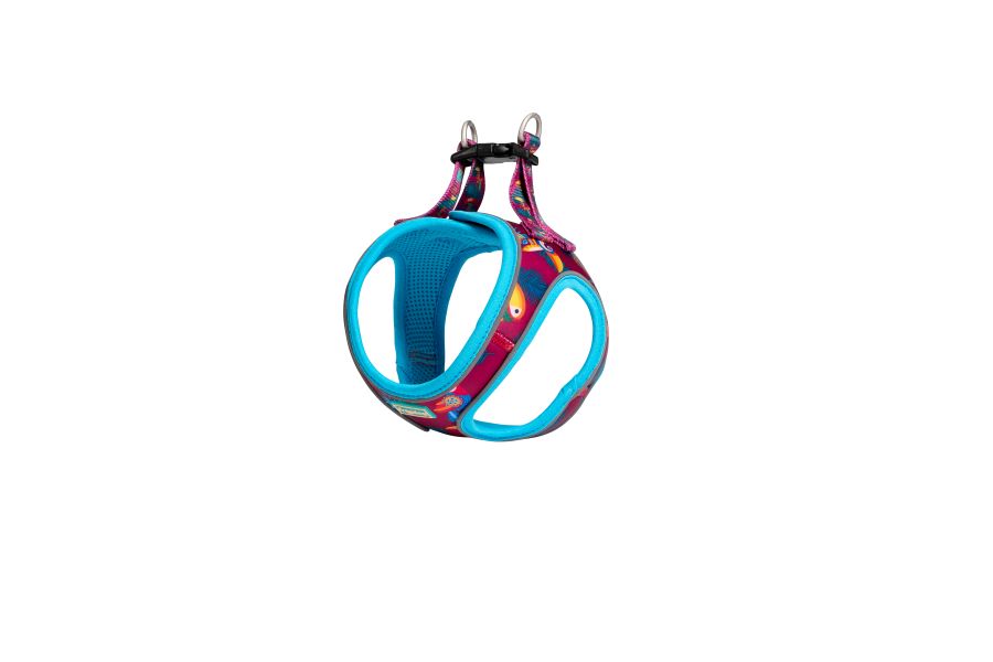 Product image for 15854