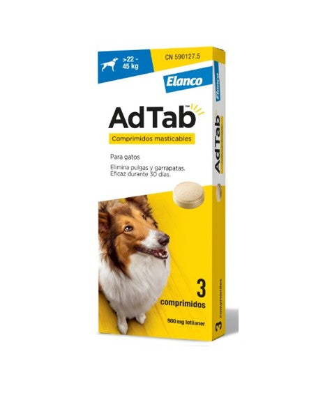 Product image for 19112