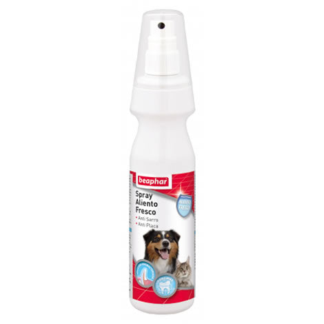 Product image for 9234