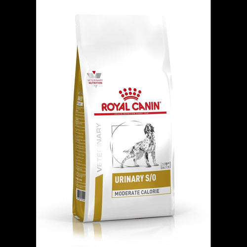 Product image for 16808