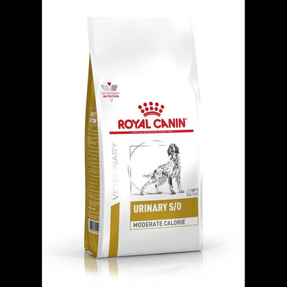 Product image for 16808