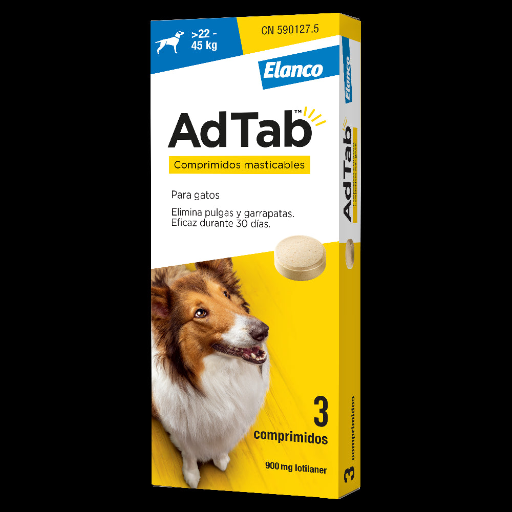 Product image for 19112