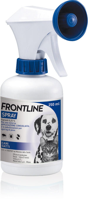 Product image for 19346