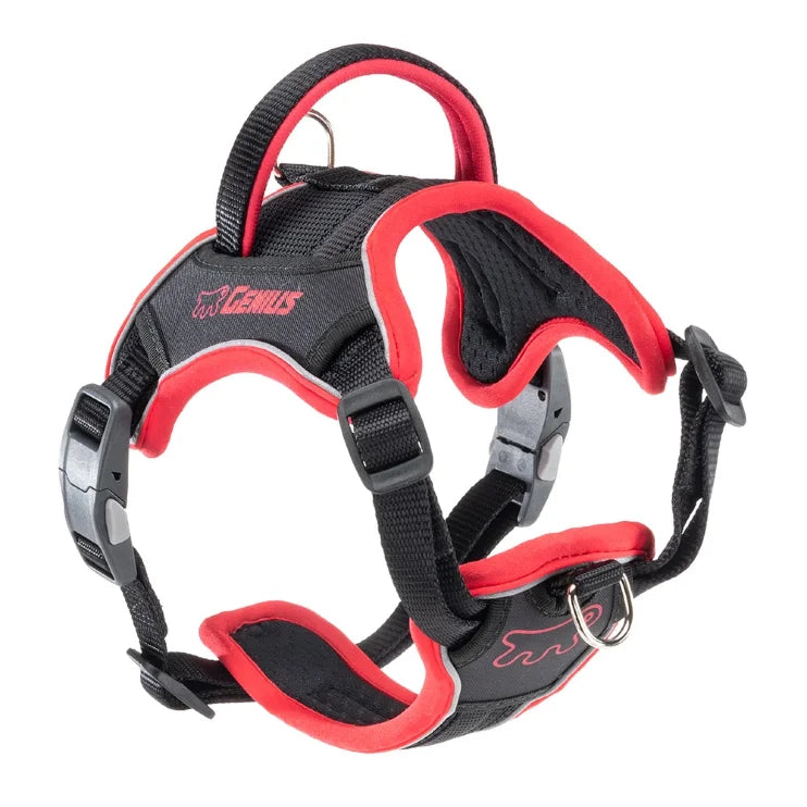 Product image for 15771