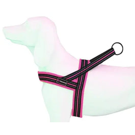 Product image for 11899
