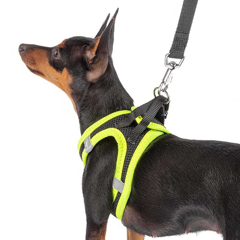 Product image for 15181