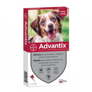 Product image for 19546