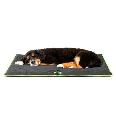 Product image for 14525