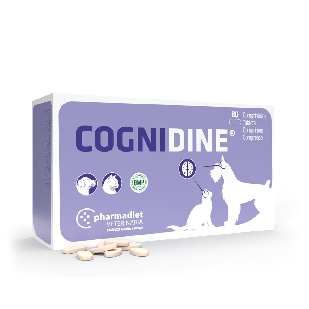 Pharmadiet Cognidine Supplément Nutritionnel 60 comprimés