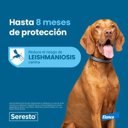 Seresto Collare Cani + 8 Kg 70cm Lattina
