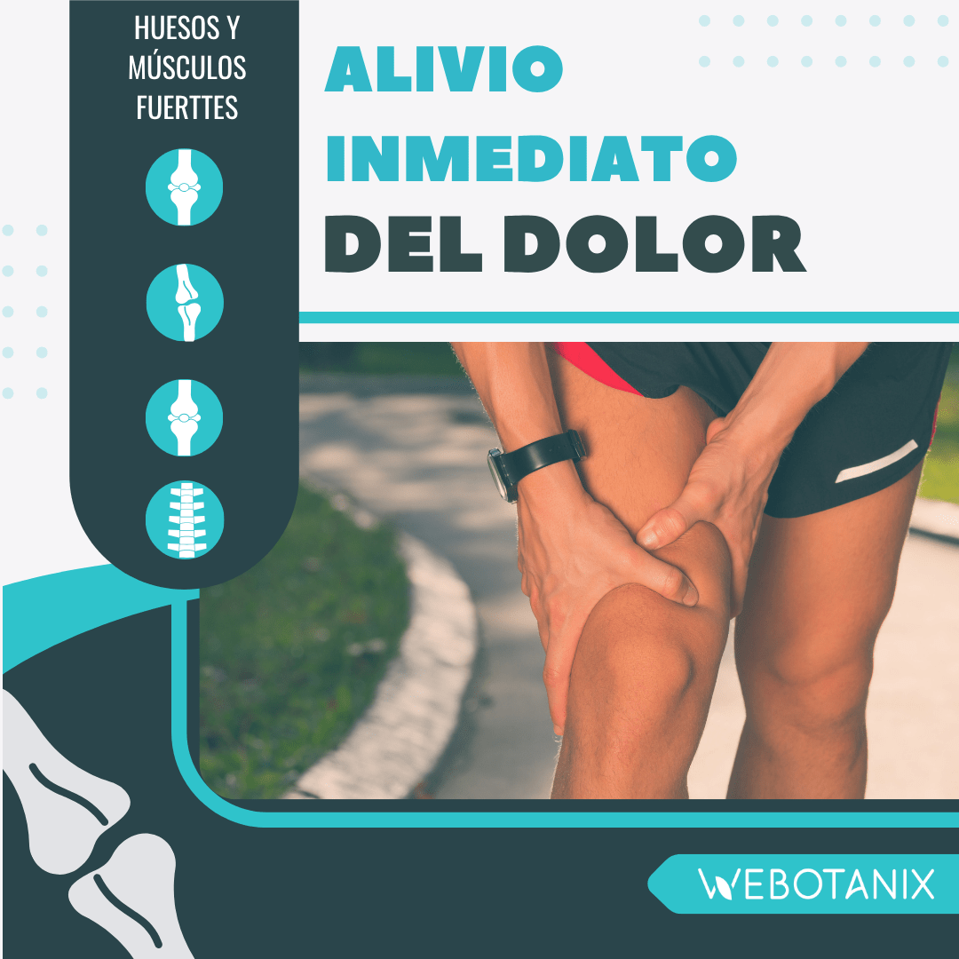 WeBotanix Cremigel Oseo Recovery cbd BIO 75ml