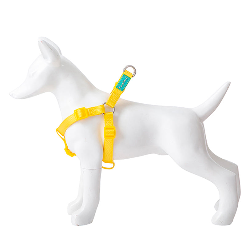 Product image for 16489