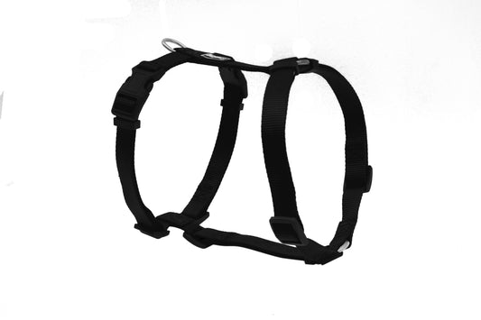 Product image for 11921