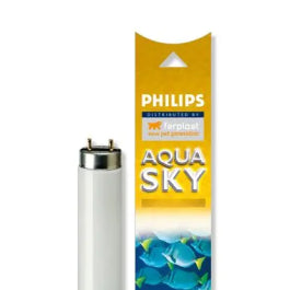 Product image for 10857