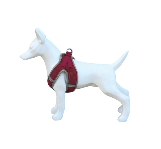 Product image for 15993