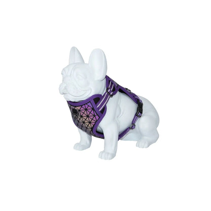 Product image for 16270