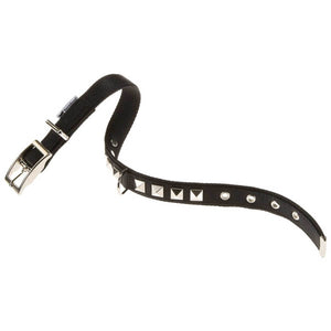 Product image for 14691