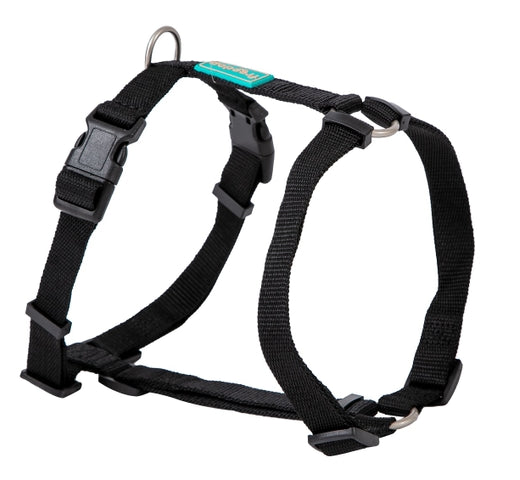 Product image for 15970