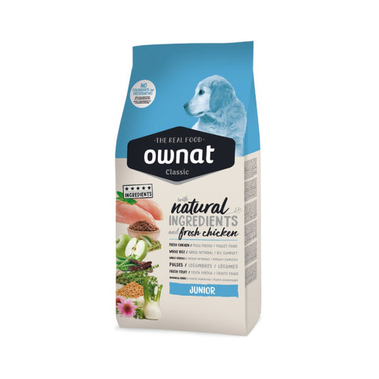 Product image for 10166