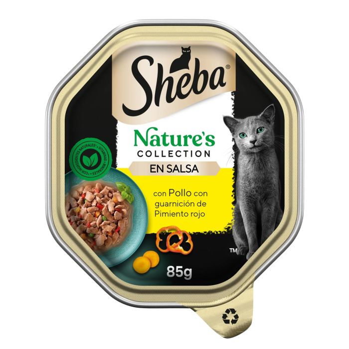 Product image for 17024