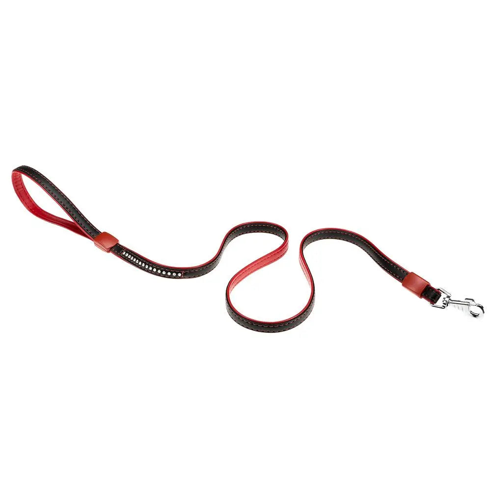 Product image for 15737