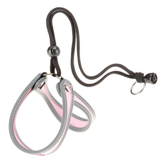Product image for 15202