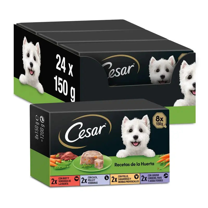 Product image for 13783