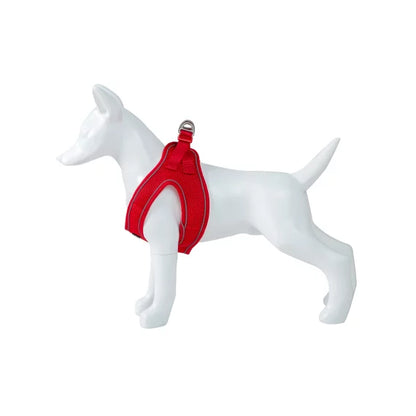 Product image for 15973