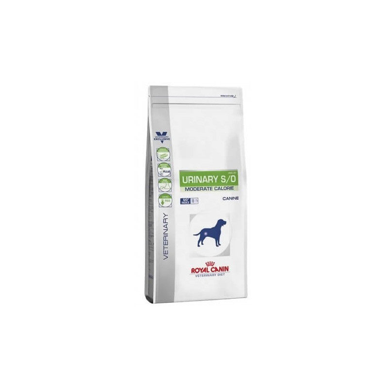Product image for 16808