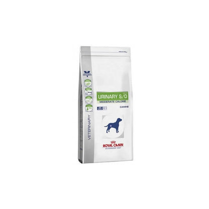 Product image for 16808