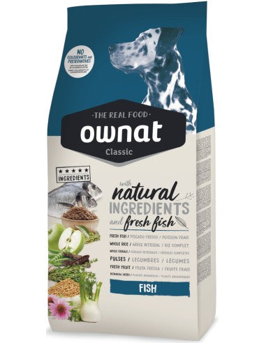 Product image for 10764