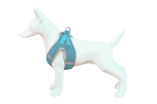 Product image for 16323