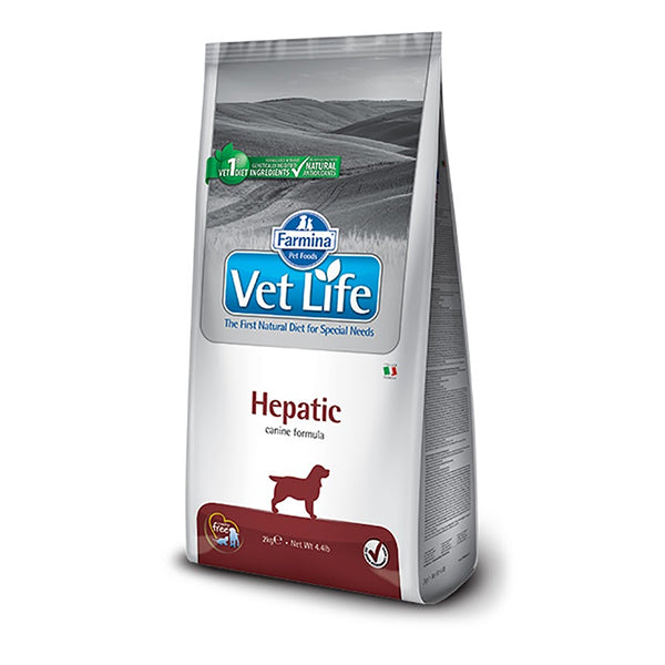 Product image for 13928
