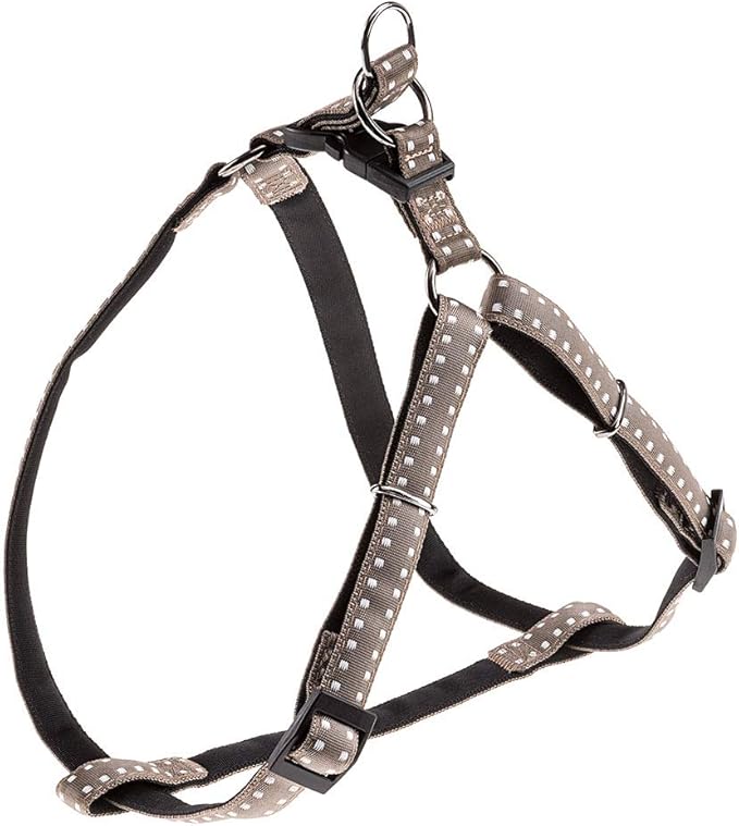 Product image for 15504