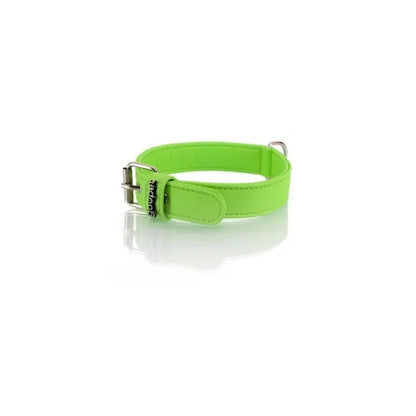 Product image for 17229