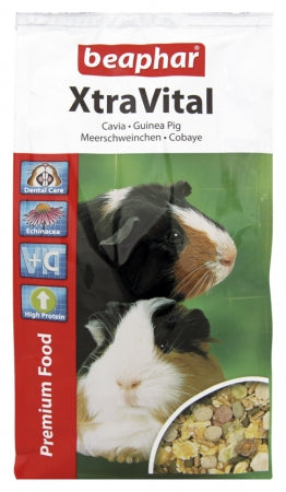 Product image for 10497