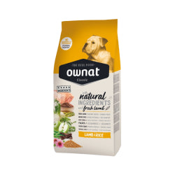 Product image for 10284