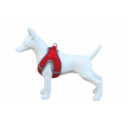 Product image for 16186