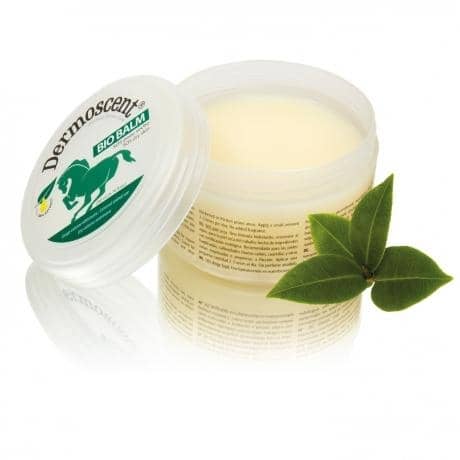 Product image for 13834