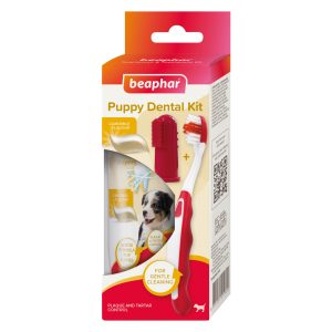 Product image for 11604