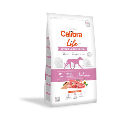 Product image for 13767