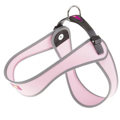 Product image for 17970