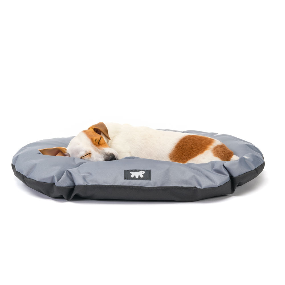 Product image for 15557