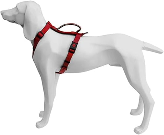 Product image for 16193