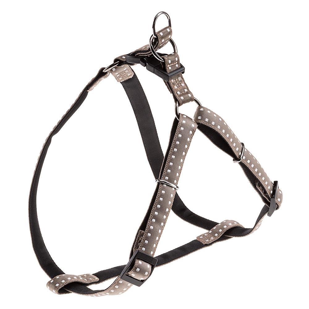 Product image for 15504