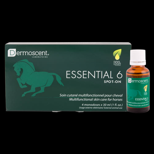 Product image for 11197